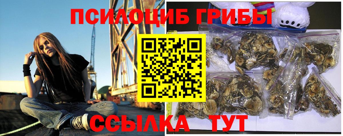 Галлюциногенные грибы GOLDEN TEACHER Сургут