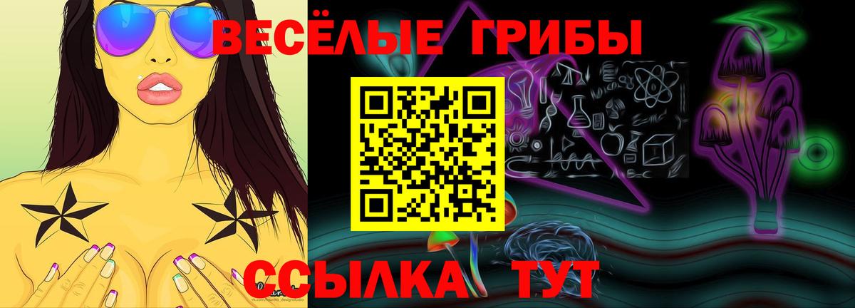 LSD-25 Сургут